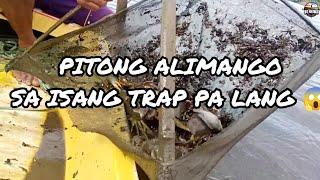 Vlog 044 Harvest ng Cultured na Alimango sa palaisdaan [upl. by Angelita434]