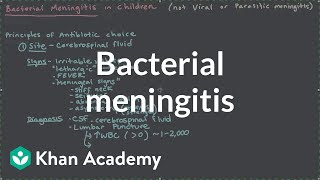 Bacterial meningitis  Miscellaneous  Heatlh amp Medicine  Khan Academy [upl. by Candy]