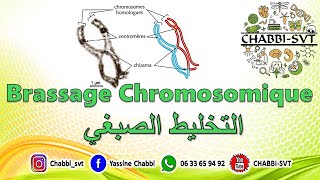 BRASSAGE CHROMOSOMIQUE [upl. by Adley815]