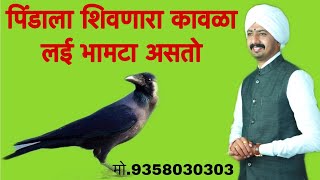 हभपशब्दप्रेमी श्रीसंग्रामबापु भंडारे पाटील यांचे प्रवचन मो9011191274 amp 9358030303 [upl. by Crystie]