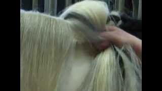 platting a long mane of gypsy cobs [upl. by Goldwin460]