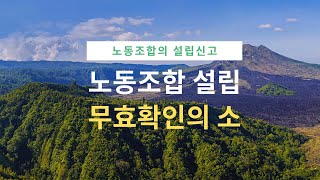 노동법판례 노동조합설립 무효확인의 소  2017다51610 [upl. by Ariahaj]