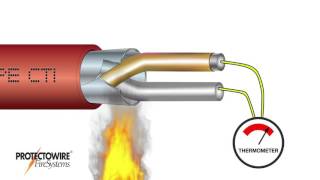 Protectowire CTI Series Detector [upl. by Amrac]