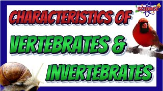 Characteristics of Vertebrates and Invertebrates  Science 6 Quarter 2 [upl. by Dyl]