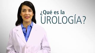 Introducción a la Urología  Urology Care Foundation [upl. by Zildjian751]