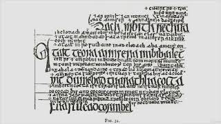 Medieval Irish Law The Legal Manuscripts of the Brehon Law [upl. by Sheepshanks56]