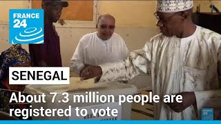 Senegals presidential election Whats at stake • FRANCE 24 English [upl. by Disario511]