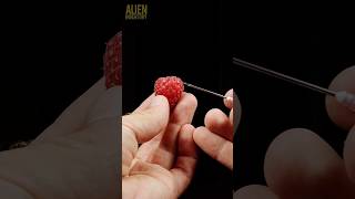 Fruits closeup compilation asmr macro satisfying [upl. by Emily636]