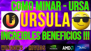 COMO MINAR URSULA URSA  INCREIBLES BENEFICIOS  WINDOWS Y HIVEOS  NVIDIA  AMD  INTEL [upl. by Ohl506]