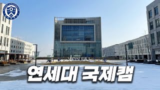 연대 신입생이 생활하는 송도 캠퍼스는 어떻게 생겼을까  연세대 국제캠 [upl. by Eniowtna]