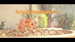 Schöne Herbstferien [upl. by Rubinstein414]