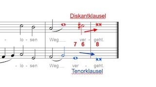 Zweistimmiger Kontrapunkt Kadenzen 1  Einführung [upl. by Nodababus90]