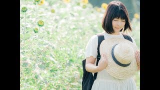 【作業用フリーBGM】夏 さわやかなBGM [upl. by Nattie]