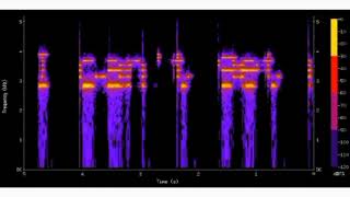 exec footage  defiant spectogram [upl. by Wilmette822]