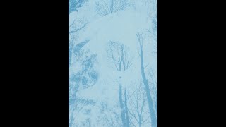 Halloween Cyanotype Process photography halloweenart fypyoutube roadto1ksubs [upl. by Ennairek859]