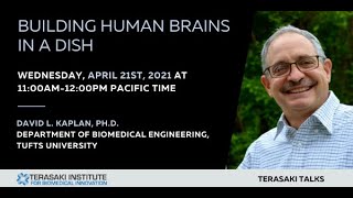 Terasaki Talk “Building Human Brains in a Dish” [upl. by Arawaj]