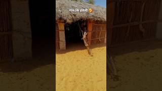 गांव का भाई सारा 🥰 song music newsong  villagelife thardesert vlog desertlife marwadi [upl. by Adelice78]