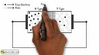 How does a Diode Work A Simple Explanation  How Diodes Work  Electrical4U [upl. by Sair805]