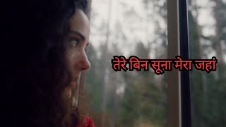 तेरे बिन सूना मेरा जहां  HINDI SAD SONG [upl. by Ahsenauq]