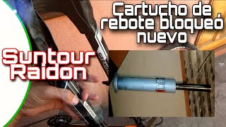 SR SUNTOUR RAIDON 😉CAMBIO De CARTUCHO Rebote Bloqueo Aceite MANTENIMIENTO De Tu Horquilla MTB XC [upl. by Asset976]