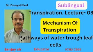 Transpiration Lecture03  Mechanism Of Transpiration [upl. by Eglantine]