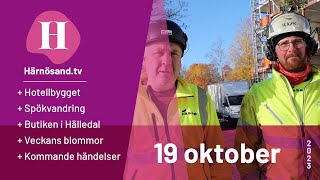 Härnösandtv – 19 oktober 2023 [upl. by Meldon]