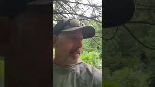 River Report from Lopstick Outfitters July 132024 [upl. by Roxine]