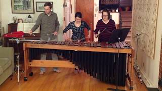 Hoedown from Rodeo by Aaron Copland arranged for marimba [upl. by Ahsuatan]