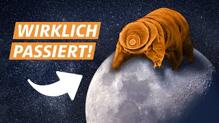 Wie 1000 Bärtierchen den Mond eroberten [upl. by Nawtna323]