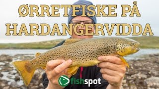 Ørretfiske på Hardangervidda med villrein steinbu og fantastisk natur [upl. by Blanchard812]