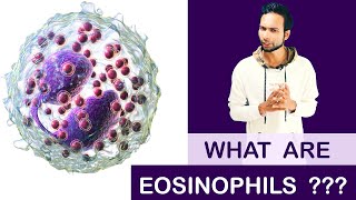 What are Eosinophils   Clear amp Complete Explain [upl. by Eniledgam]