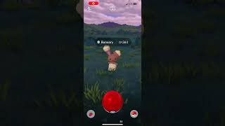 Buneary does not my problem dance pokemon pokemongo funnymemes gaminggamingvideos notmyproblem [upl. by Jorgenson184]