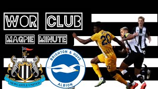 Newcastle United vs Brighton amp Hove Albion 2425 [upl. by Sonafets387]