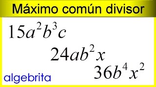 Máximo común divisor de monomios 384 [upl. by Demodena]