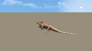 Frill necked Lizard Animations Demo [upl. by Ojahtnamas]