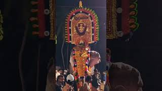 പാമ്പാടി രാജൻ l Mangad Pooram 202425 [upl. by Atnuahs869]