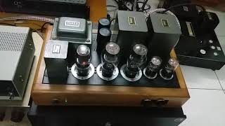 Tannoy gold 15quot vs amly full tango XE20s [upl. by Olnton]