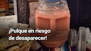 PULQUE EN RIESGO  La producción de esta bebida milenaria está en peligro por enfermedad del maguey [upl. by Zeke945]