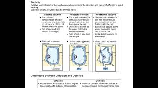 Absorption by Roots ICSE Class 10 Notes [upl. by Oicneserc]