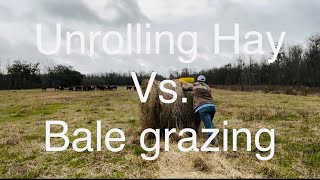 Unrolling Hay vs Bale Grazing with results [upl. by Yert]