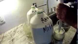 How to separate cream from raw milk [upl. by Notyard]