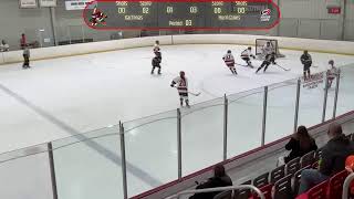 Arizona Kachinas 19U AAA Green vs Carolina Jr Hurricanes 19U  NGHL Winter Classic Red 11324 [upl. by Ahsaercal]