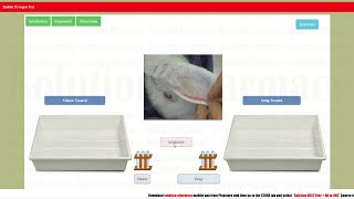 Pyrogen Screening Modal  Pyrogen on Parenteral Product by Rabbit Method  Rabbit Pyrogen हिंदी में [upl. by Ayaet]