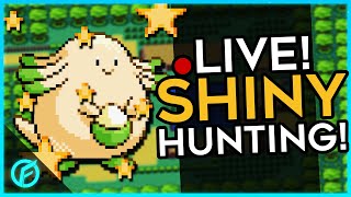 ✨8x Safari Saturday Chansey Shiny Hunt✨ ⚡ROGUE⚡🌟RECENT🌟🟣TWITCH🟣 [upl. by Esdnil]