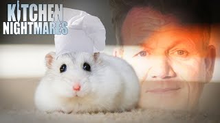 these chefs need a rat under their hat  Kitchen Nightmares [upl. by Alrahs360]