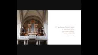 Te Deum Alternatim  Zoltan Varga  Schola Cantate et Jubilate [upl. by Yelnik]