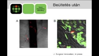 Sejtterápia fejlesztése és klinikai alkalmazása 1rész [upl. by Alrats271]