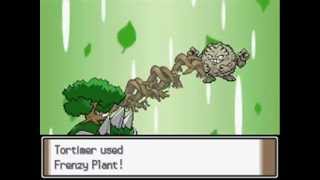 Pokemon Attack Showcase Grass Attacks [upl. by Trinee]