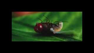 eega movie bindu bindu bagruound music [upl. by Alemrac]