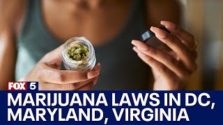 Marijuana laws in DC Maryland Virginia What you need to know  FOX 5s In The Courts [upl. by Kendy749]